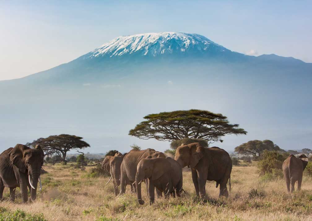 Tanzania visa guide Kilimanjaro trek