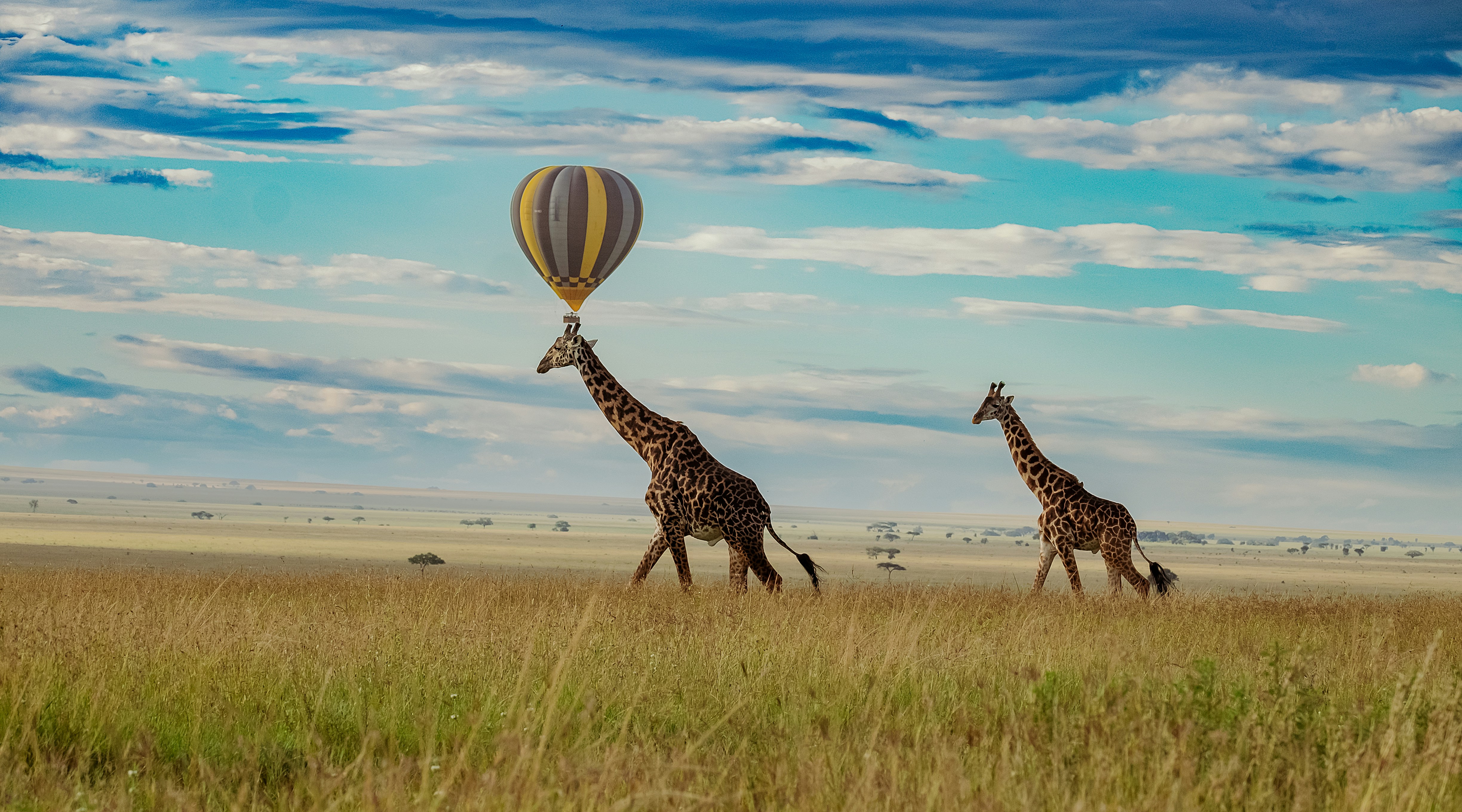 Classic Northern Circuit Tanzania safari itinerary