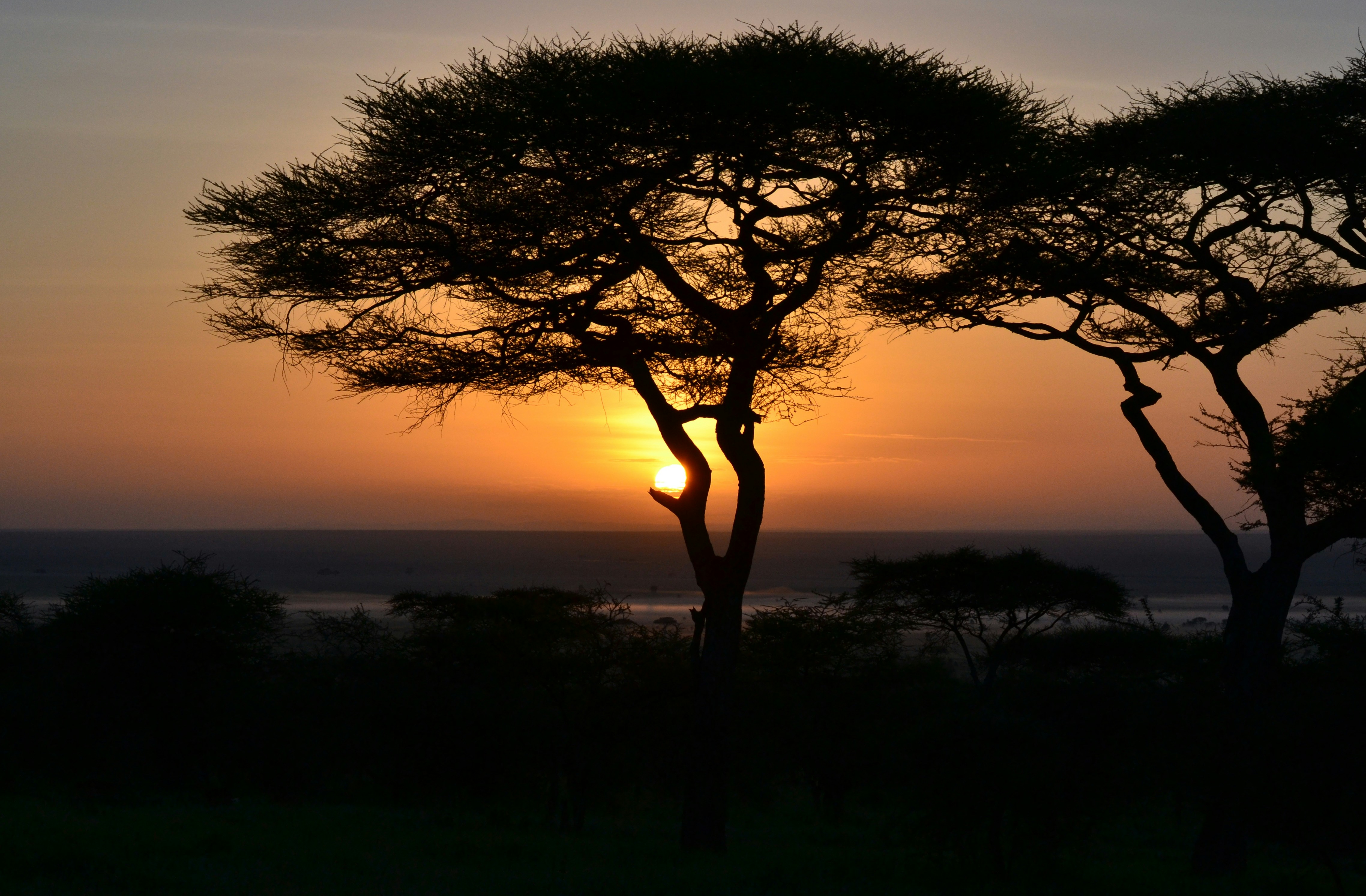 Tanzania safari landscapes Serengeti sunset